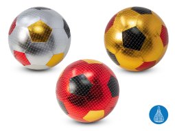 Fußball Metallic-Bezug im Netz 22cm