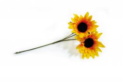Sonnenblume 30cm